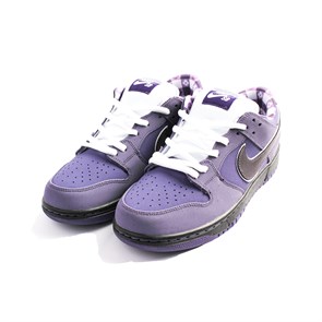 Кроссовки Nike Dunk Sb Low X Concepts Purple Lobster - фото 39959